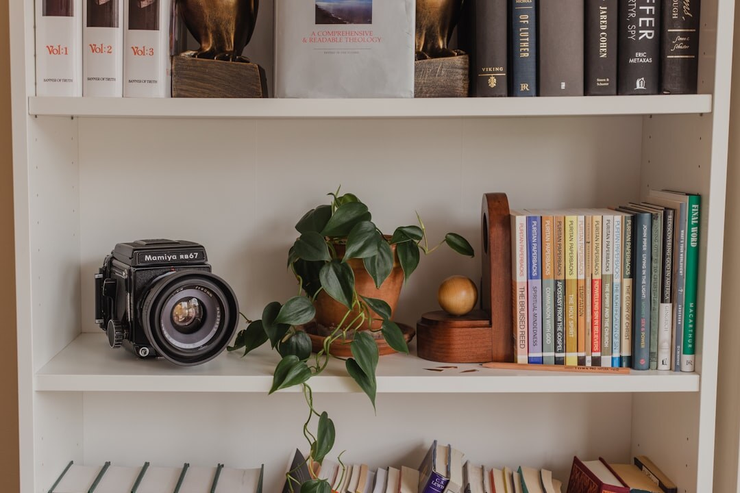 mystery novel on shelf