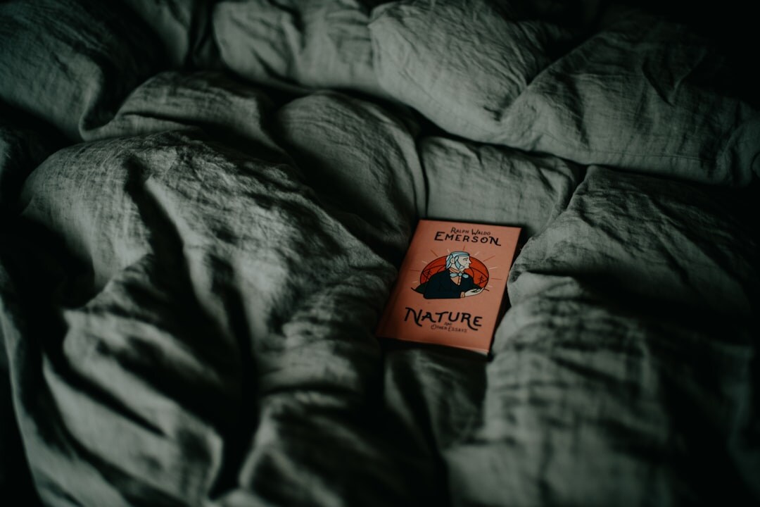 mystery novel cover