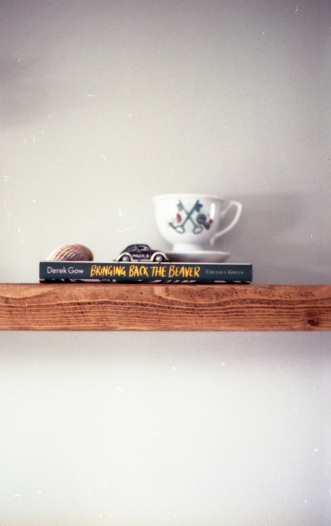 mystery novel on shelf